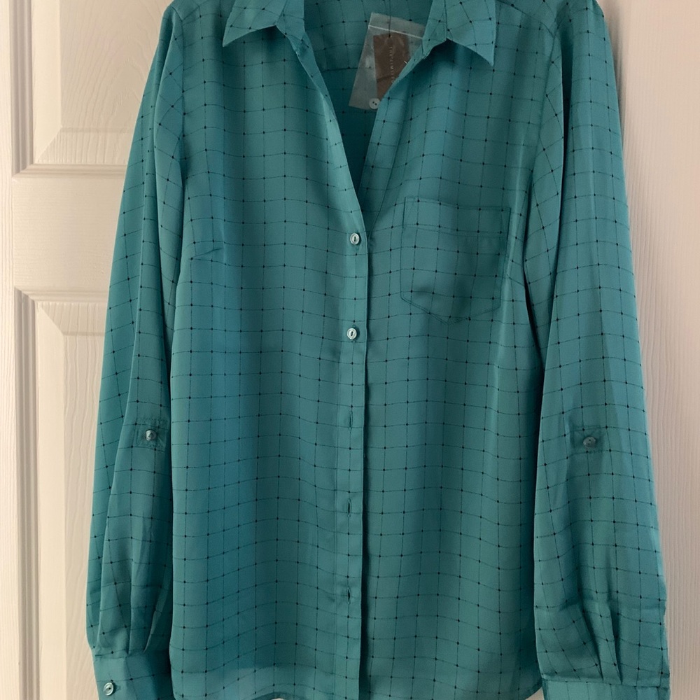 The Limited blouse